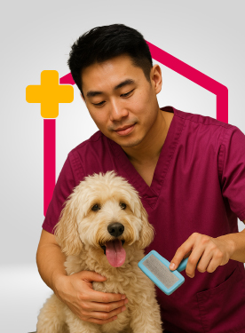 Homecare service image
