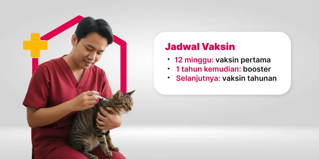 Vaksin Rabies untuk Anjing & Kucing
