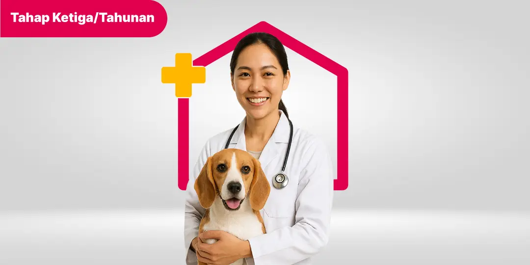 Vaksin Anjing Ketiga / Tahunan (DHPPi + L + R)