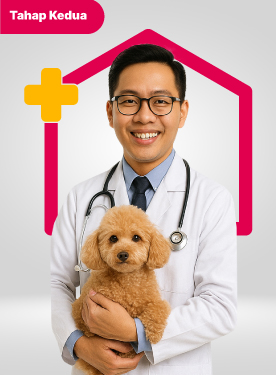 Homecare service image