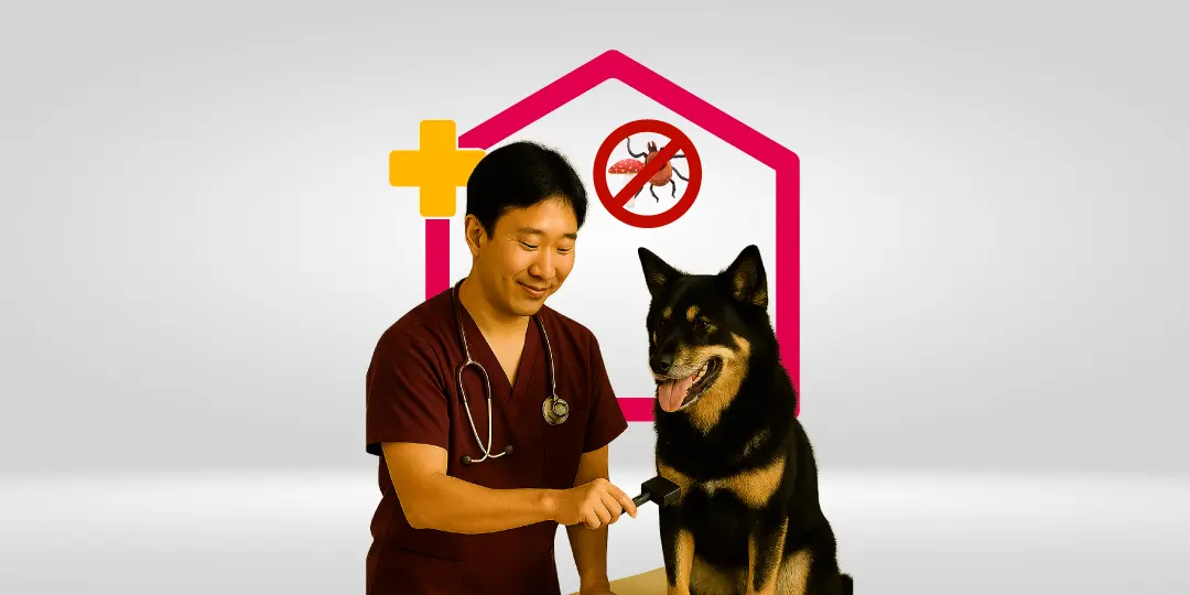 Grooming Anjing (Perawatan Anti-kutu/Tungau/Jamur)