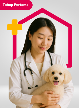 Homecare service image