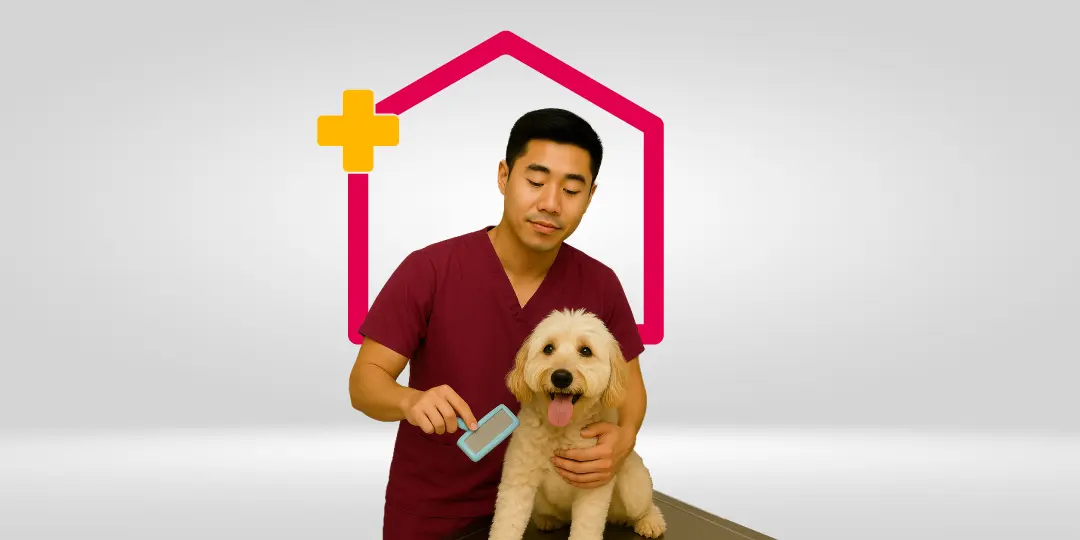 Grooming Anjing
