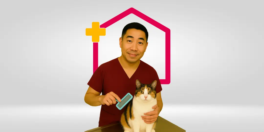 Grooming Kucing