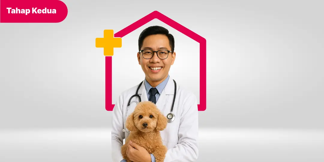 Vaksin Anjing Kedua (DHPPi + L)