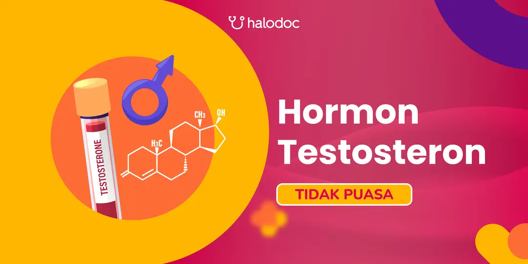Halodoc Halodoc