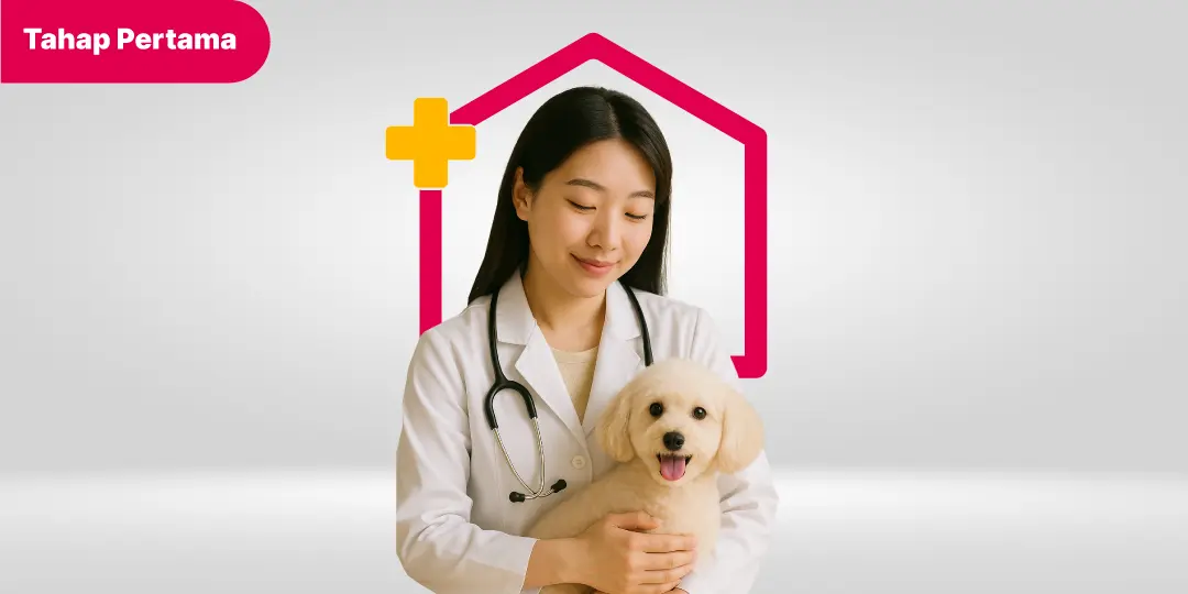 Vaksin Anjing Pertama (DHPPi)