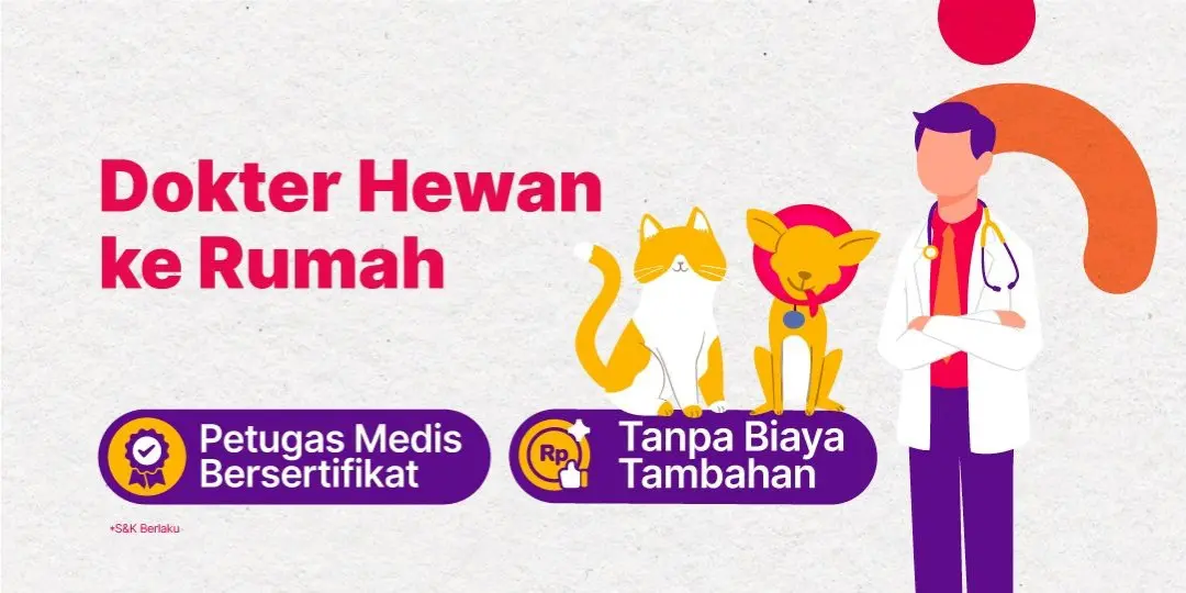 Vaksin Rabies untuk Anjing & Kucing