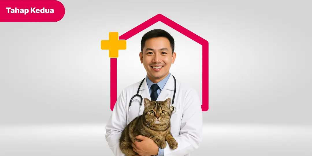 Vaksin Kucing Kedua (F4)