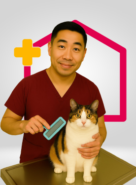 Homecare service image