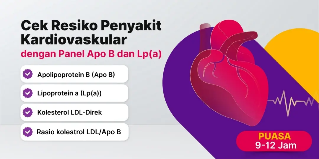 Panel Apo B dan Lp(a) untuk Risiko kardiovaskular